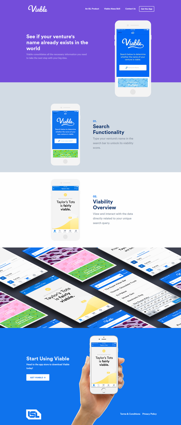Viable landing page screenshot - full